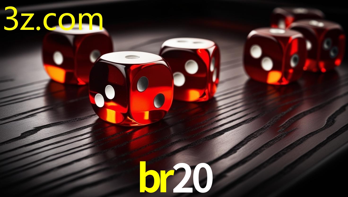BR20